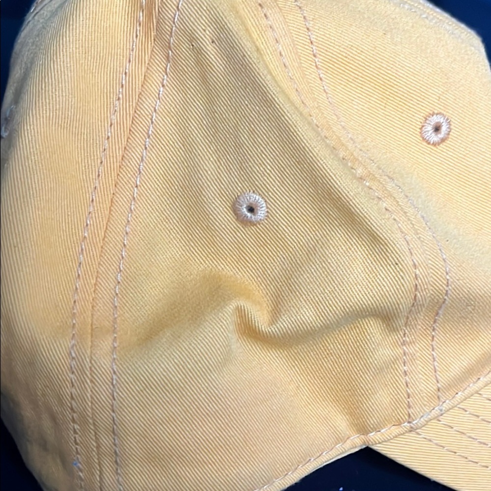 Harry Potter HUPPLEPUFF  Baseball Cap with Embroidered Crest - Picture 8 of 10